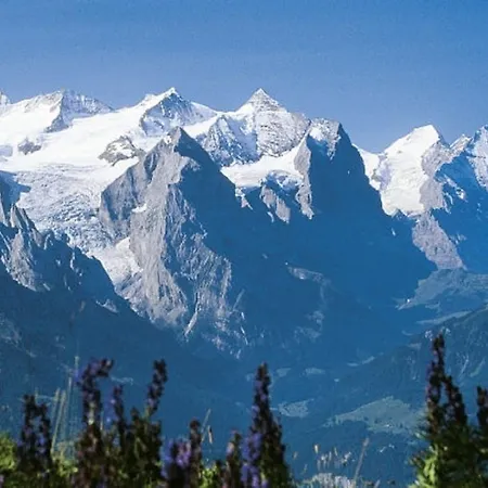 Sonnenblick Apartman Brienz