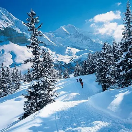 Sonnenblick Apartment *