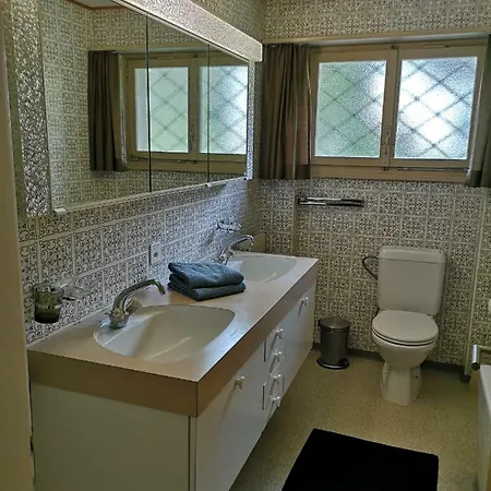 Sonnenblick Apartment Brienz (Bern)