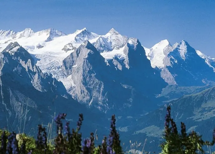 Sonnenblick Apartman Brienz