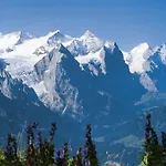 Sonnenblick Апартаменты Бриенц